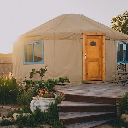 Alpaca Farm - חוות האלפקות Villa Mitzpe Ramon Exterior photo